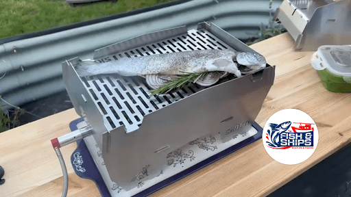 Fishnships