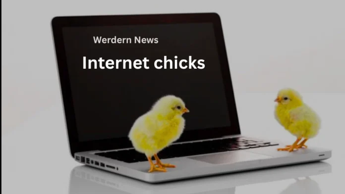 Internet chicks