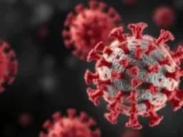 neue norovirus variante