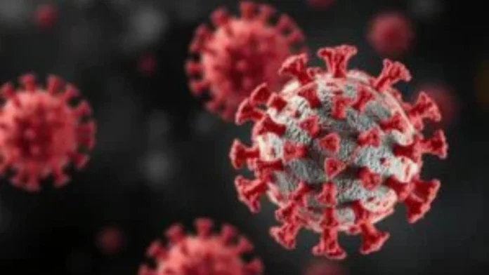 neue norovirus variante