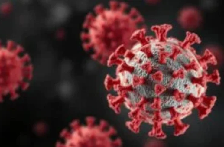 neue norovirus variante